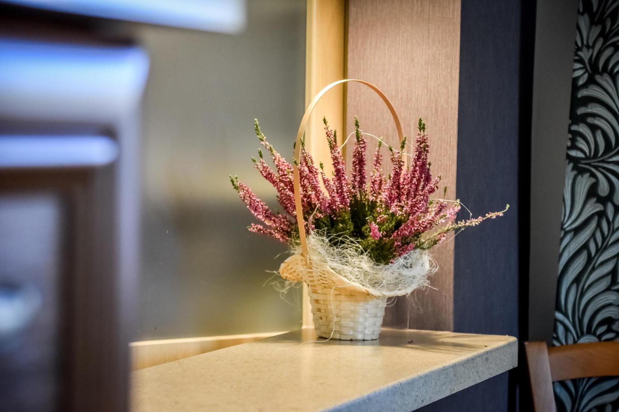 Apartament W Alejce Rabka-Zdrój Esterno foto